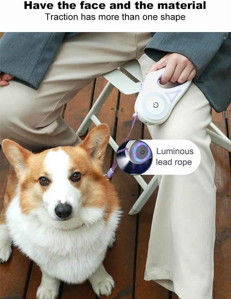 Dog Leash with LED Light