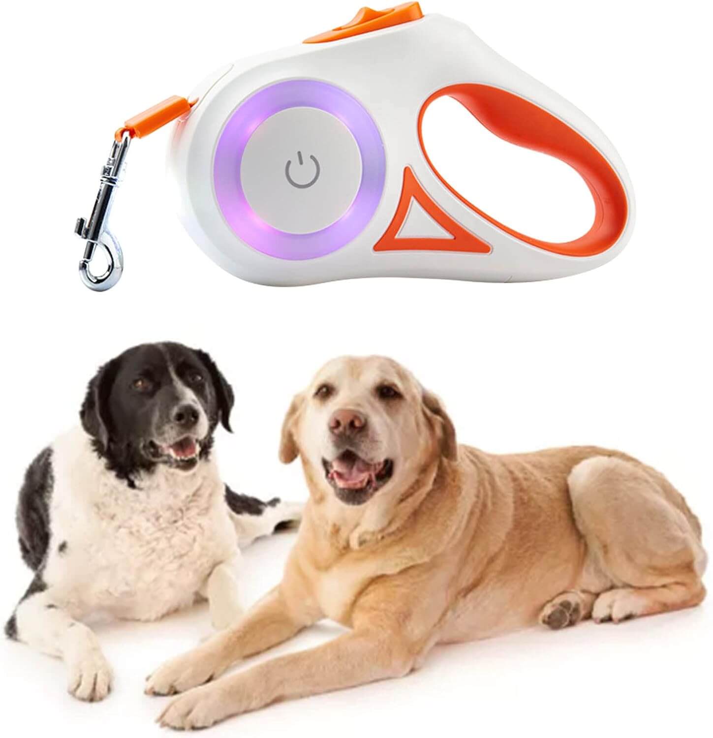 Dog Leash with LED Light