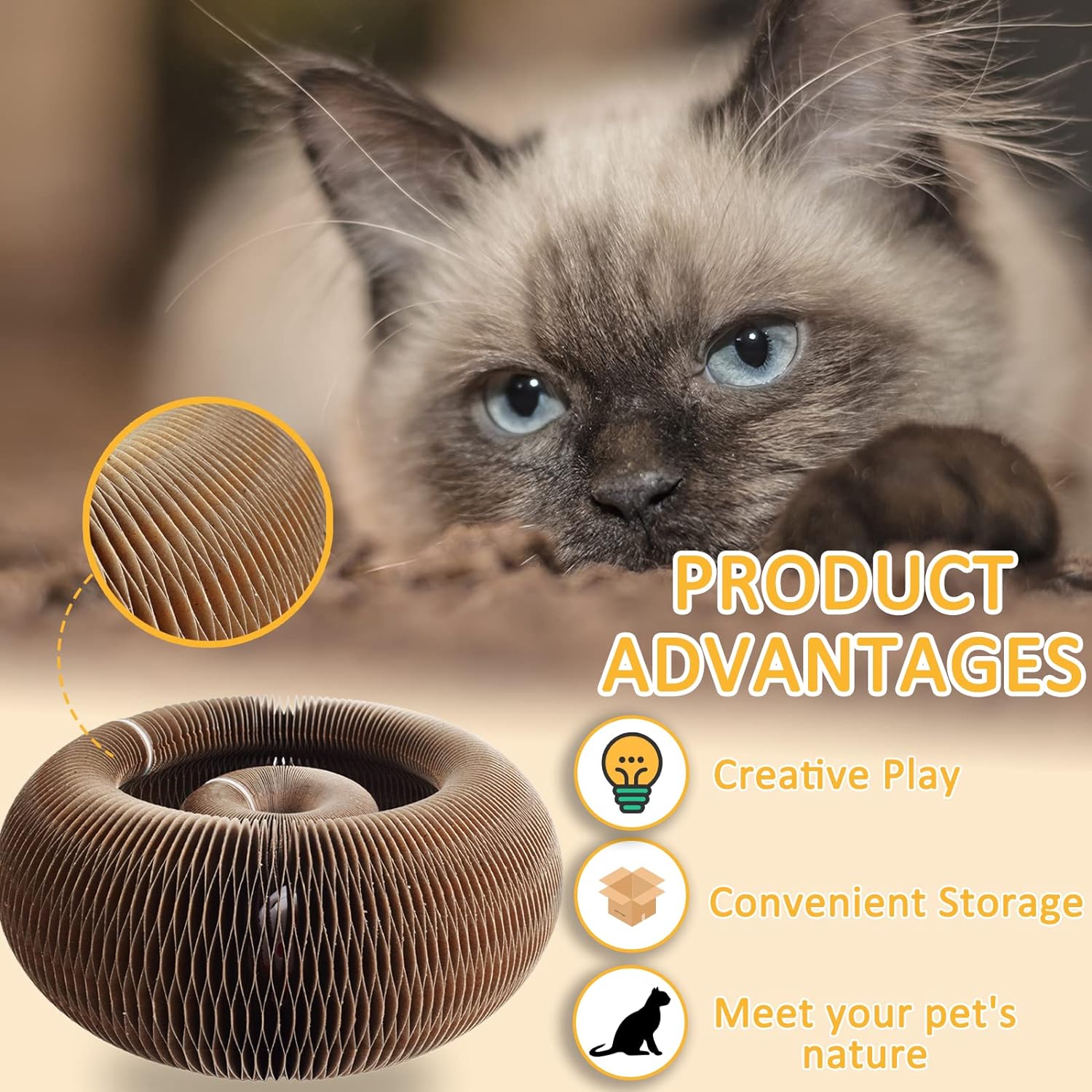 Magic Organ Cat Scratcher Board Cat Interactive Ball Kitten Toys